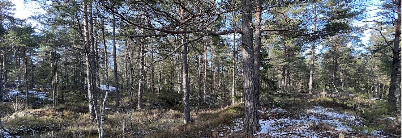 Påskeløp 2024